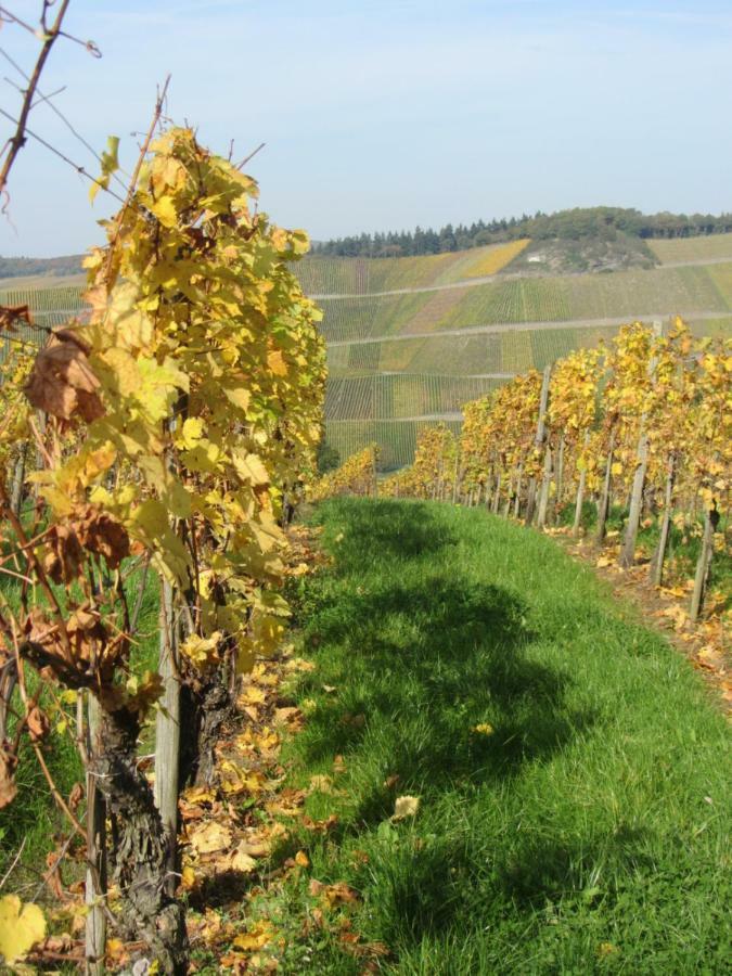 Mosel-Auszeit Apartment Brauneberg Luaran gambar